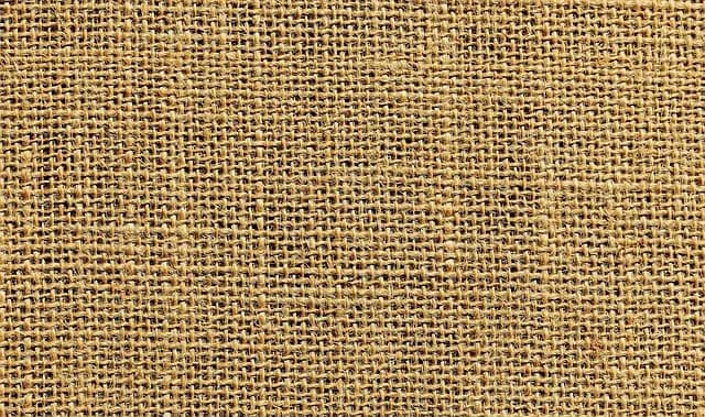 Todo lo que necesitas saber sobre los electrodomésticos sostenibles
