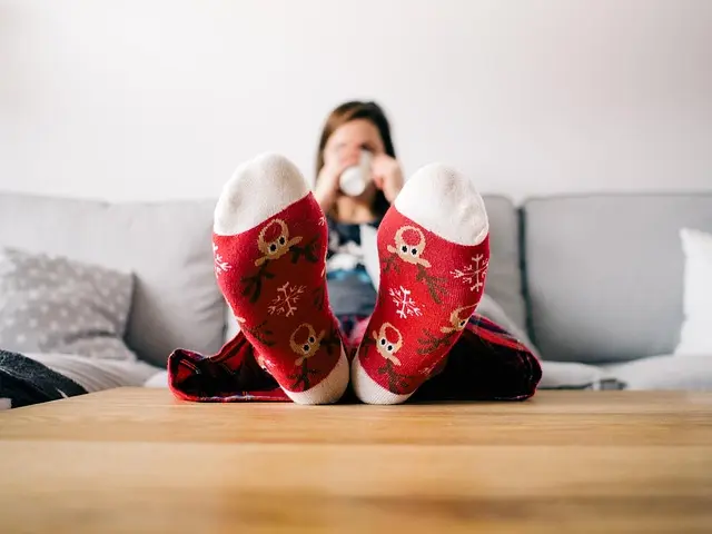 Cómo elegir el mejor calefactor para tu hogar
