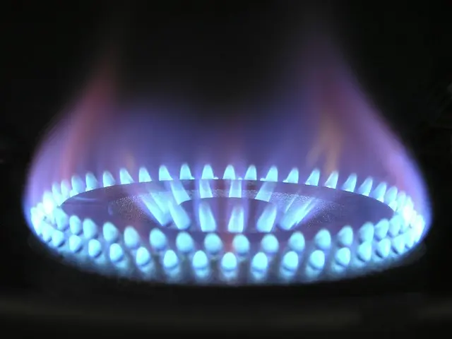Las mejores marcas de electrodomésticos para tu hogar