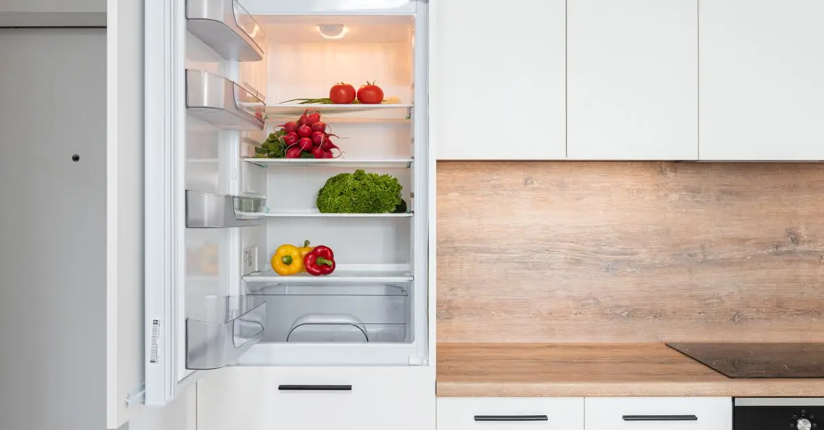 Cómo elegir el mejor frigorífico para tu hogar