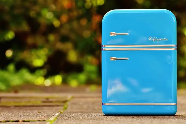 Comment choisir un réfrigérateur écoénergétique adapté à vos besoins