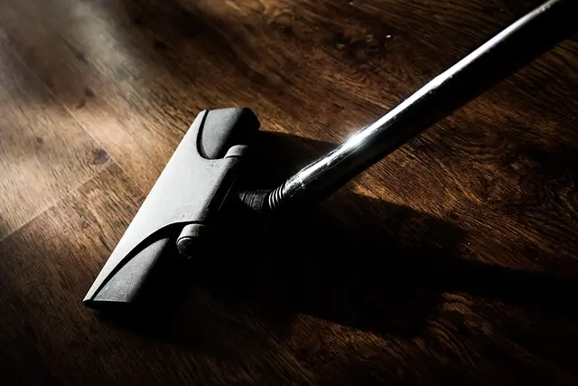 Cómo elegir el mejor aspirador sin cable para tu hogar