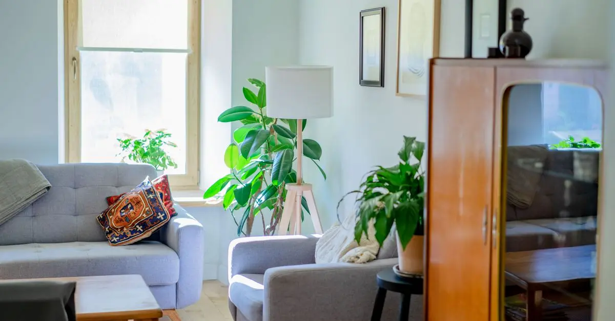 10 consejos para elegir el mejor purificador de aire para tu hogar