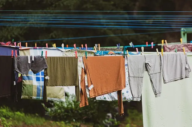 Cómo elegir el mejor purificador de aire para tu hogar
